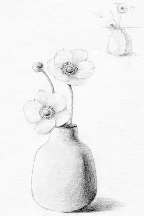 瓷瓶插花素描画详细教程步骤