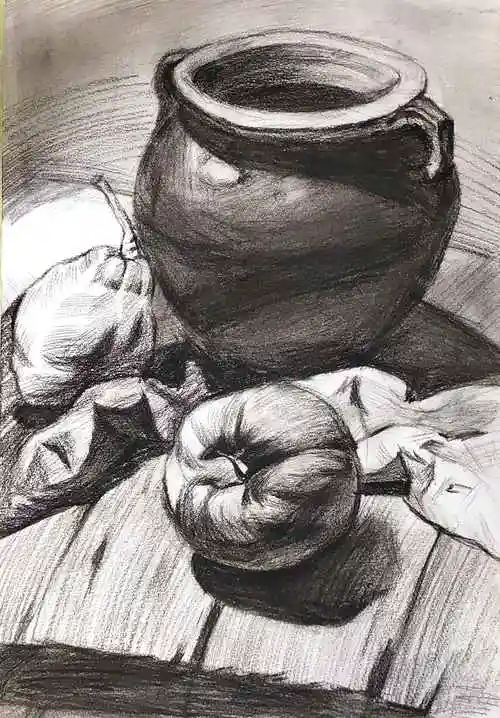 素描五级-素描-美术 - 四川艺术考级网—成都美术考级网—全国社会