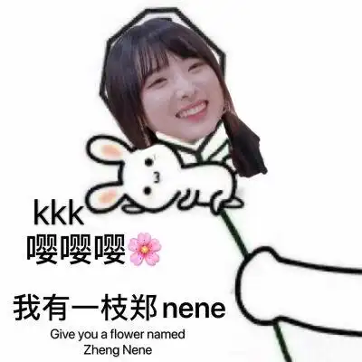 郑乃馨表情包 vb 来两个印第安_wowo