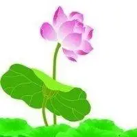 禅意莲花头像图片_微信头像图片大全