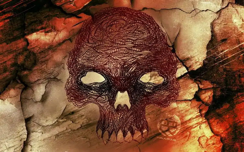 壁纸,骷髅头,cg,1920x1200尺寸壁纸-回车桌面