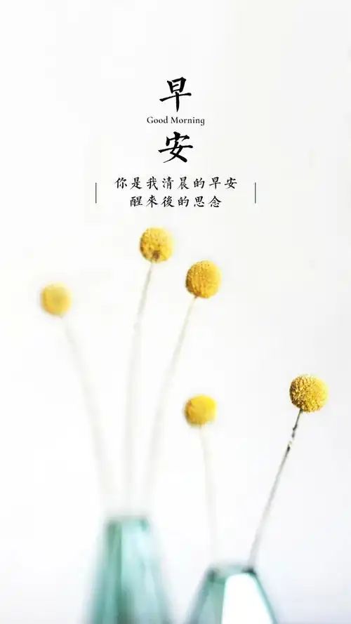 早安暖心话阳光早安问候语正能量励志早安图片带字