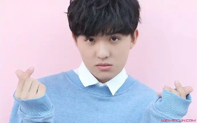 童星郑伟个人资料郑伟个人资料:2000年出生在北京,2007年时,7岁的他因