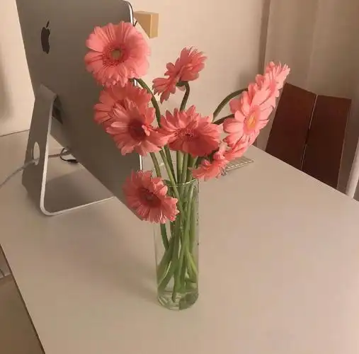 鲜花朋友圈背景图小清新鲜花微信头像