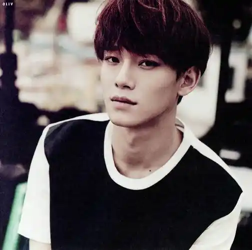 p>金钟大,艺名chen,1992年9月21日出生于韩国京畿道始兴市,韩国男