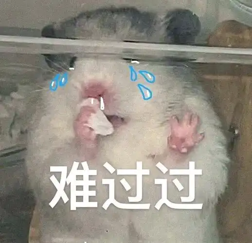 难过过小仓鼠表情包难过仓鼠表情
