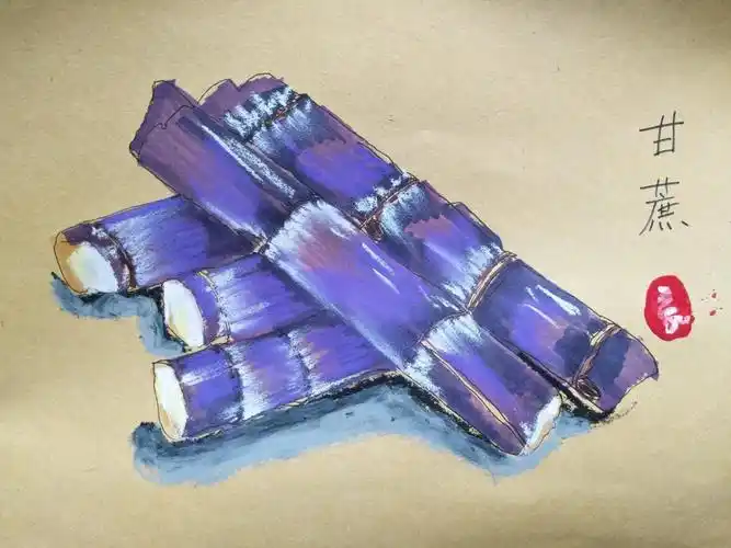 油画棒甘蔗