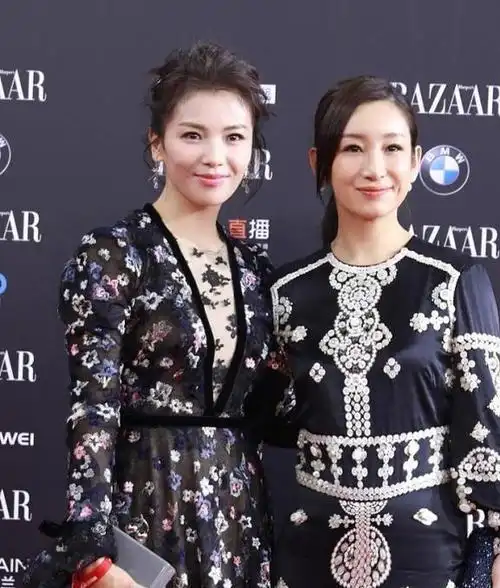 刘涛和秦海璐同穿深色系礼服气质却差很大一个优雅一个前卫