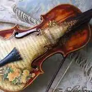 小提琴头像唯美图片点击鼠标右键下载