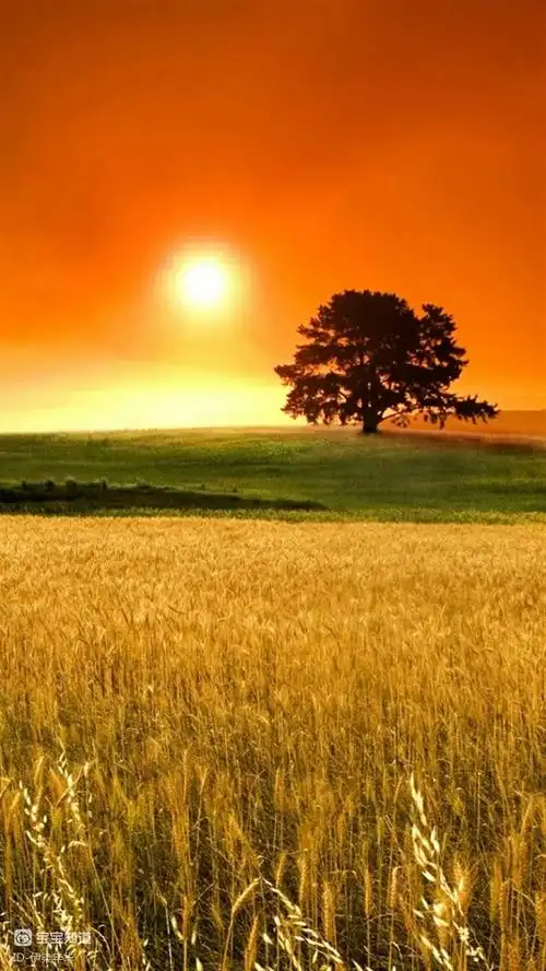 心灵鸡汤不做欲望的奴隶要活得轻松和快乐