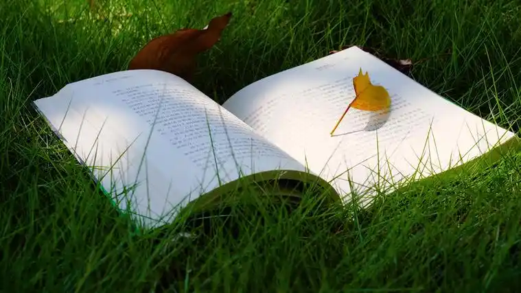 2024年2月21日菜粕:现货跟盘下跌.