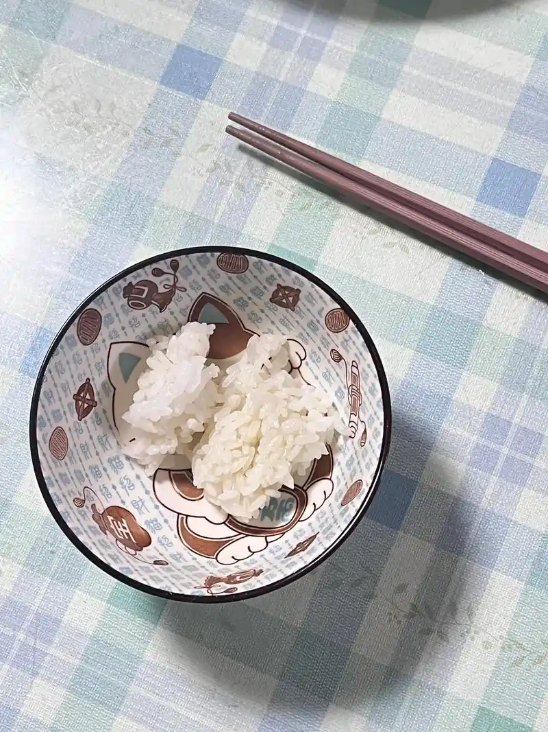 2022年的许多顿饭.图一是我的真实饭量,确实不太爱吃大米饭 - 抖音