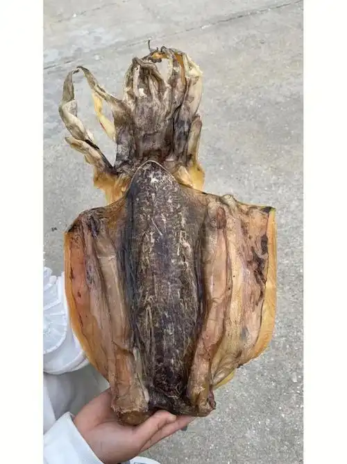 东山岛野生海鲜淡晒特大墨鱼干,炖汤真的超好喝,吃起来口感又弹牙!