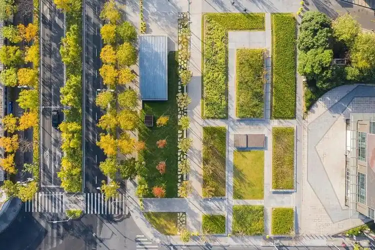 树阵景观,居然还能这么美!-景观设计-筑龙园林景观论坛