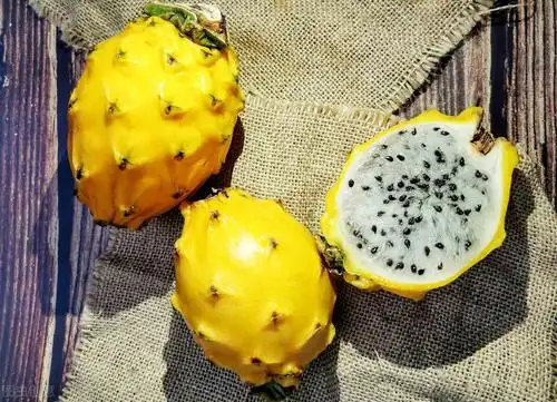 原来随着我国农业技术的不断提高,火龙果这种典型的亚热带水果,不仅在