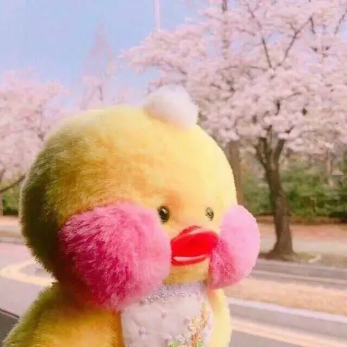 急!求这只小黄鸡玩偶的名字