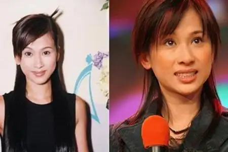 【图】文颂娴王子文极度撞脸 曾是tvb当家花旦的文女现状如何