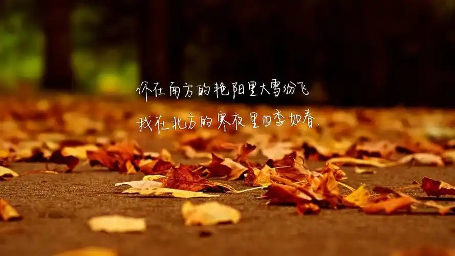 文字歌词南山南文字控壁纸1