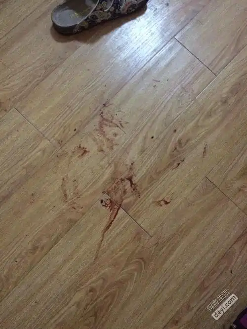 一回家,地上有一滩血,好恐怖