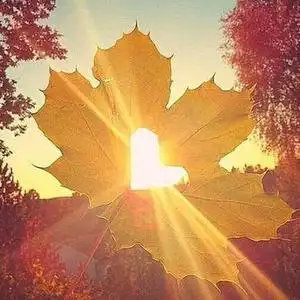 心若向阳何惧忧伤头像