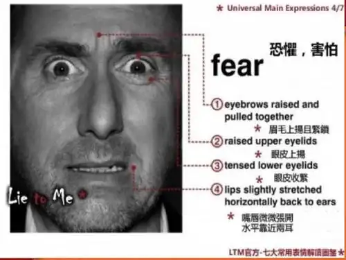 无忧文档 所有分类 人文社科 教育学/心理学 micro expression微表情