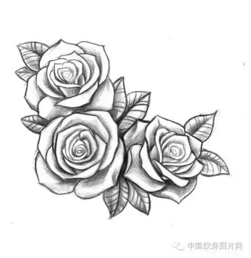 纹身素材:一些花的手稿