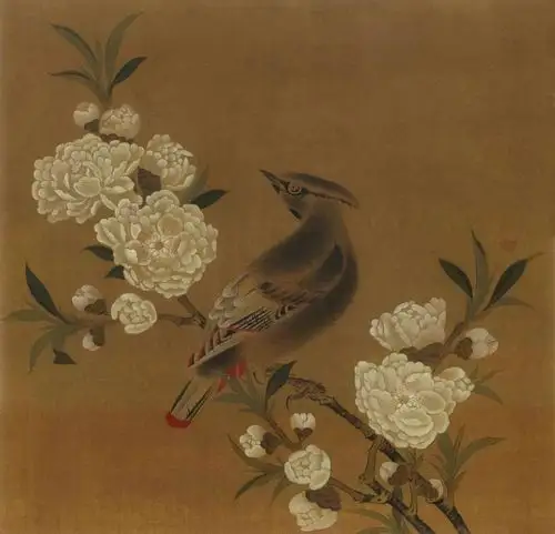 六十幅宋代工笔花鸟小品精选