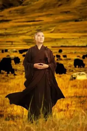 这么多美女出家,这是怎么啦?