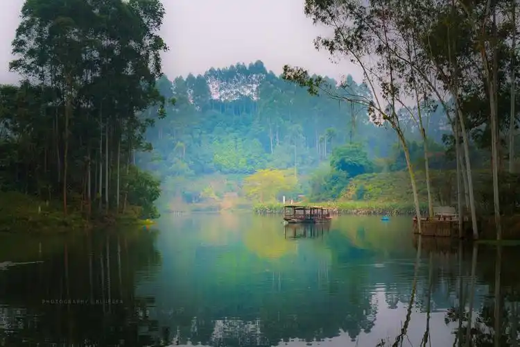 2021图片(18张精美图片带您回忆2020) - 赤虎壹号