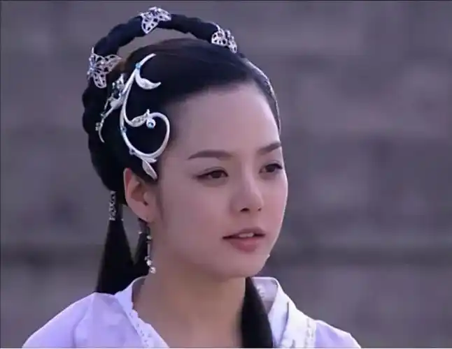 新醉打金枝升平公主蔡琳