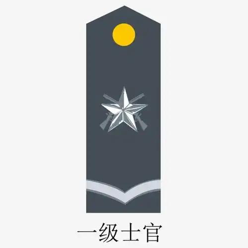 军队一级士官矢量肩章