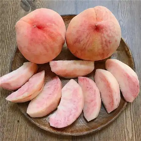 可爱粉色水嫩桃子空间背景素材夏日的遗憾会被秋风温柔化解