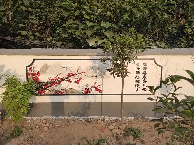 亳州小院墙绘彩绘绘画