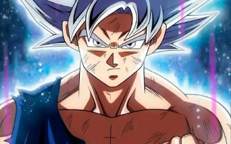 龙珠自在极意功