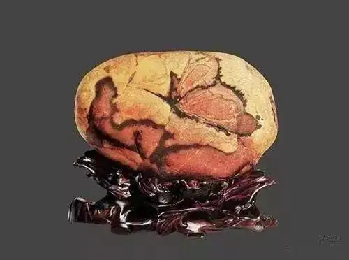 奇石节金奖,而且早在七八年前就有人向宝主陈德林开出了120万的天价