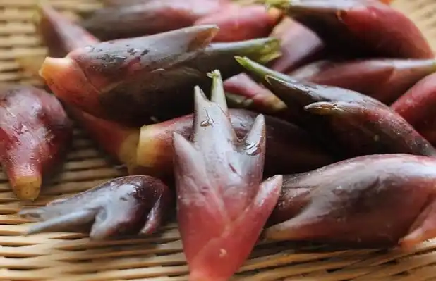 野姜的功效与作用