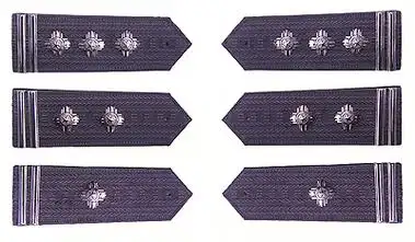 [分享]中国警察警衔图解