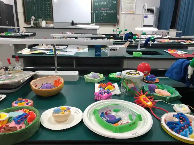 巧手探微观,模型展风采—高一年级生物模型制作大赛