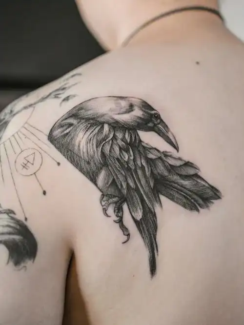 乌鸦纹身细节太要命一根毛就是一针一笔