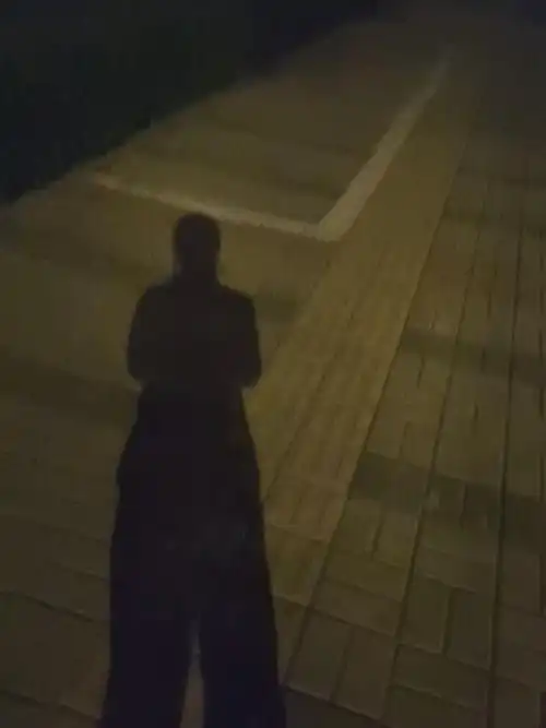 喜欢自己跑步时的影子