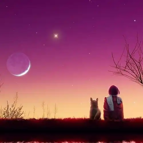 简单而走心的图片头像 高清好看独一无二唯美的图片头像_微信头像