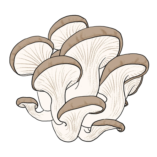 开启菌菇美颜功能