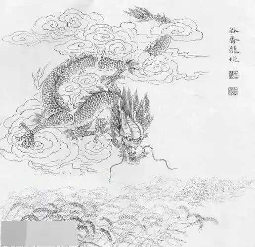 素材29幅中国龙白描图谱喜欢龙的朋友一定收藏