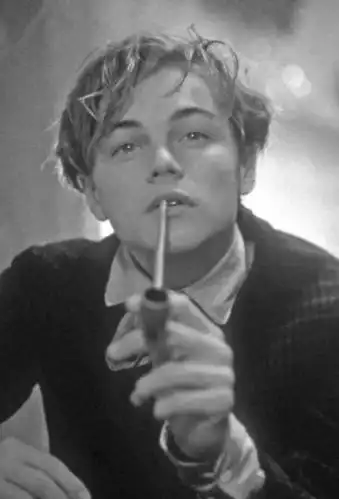 揭秘小李子56个前女友和112条大长腿