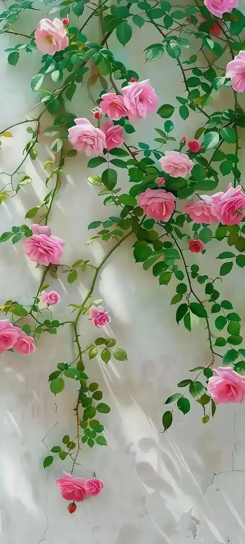 一张唯美的花卉高清手机壁纸,就像一幅细腻的画作,能够带给我们无尽的