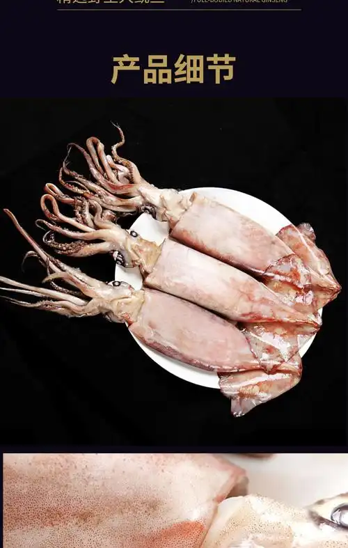 鲜活超大鱿鱼10斤装冷冻新鲜鱿鱼深海大鱿鱼尤鱼生鲜海鲜水产