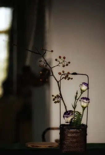 茶道与禅意心灵鸡汤