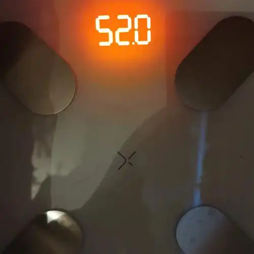 收到50公斤第四天