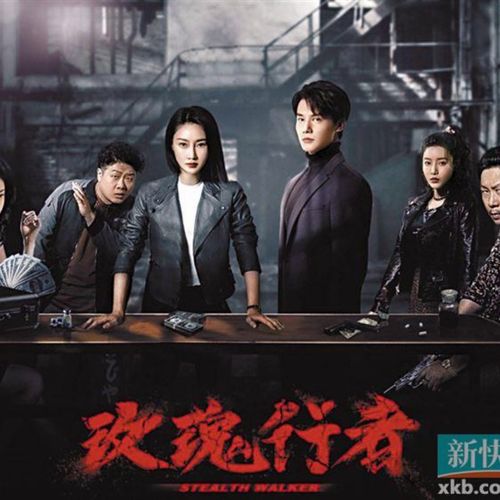 【玫瑰行者】林鹏 郑业成 李子峰 女卧底题材缉毒剧dvd碟片连续剧