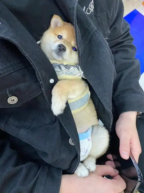 小宝宝当然要钻怀里啦